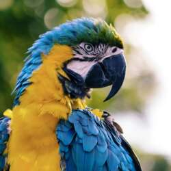 andrew-pons-lylCw4zcA7I-unsplash andrew-pons-lylCw4zcA7I-unsplash